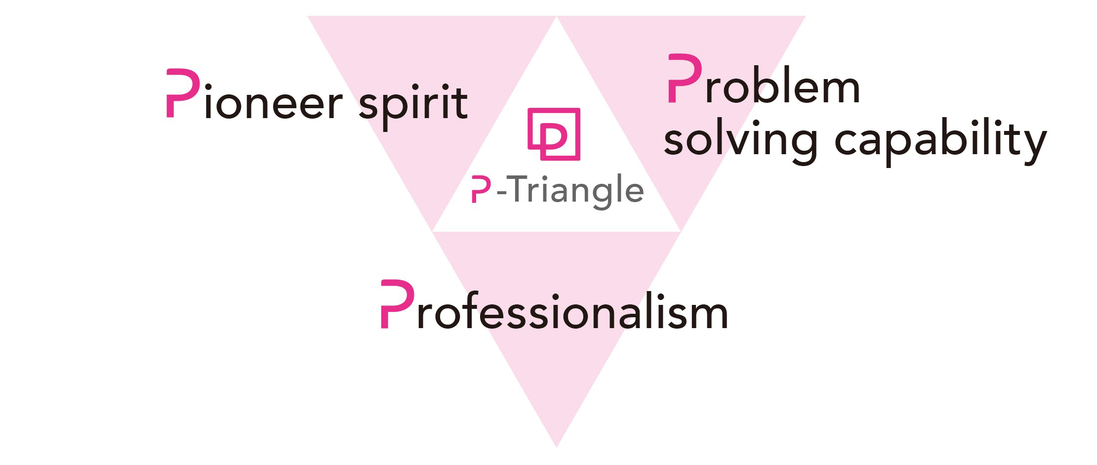 Pioneer spirit Problem solving capability Professionalism